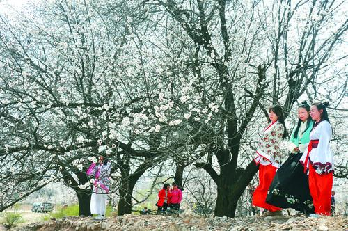 乐球吧jrs低调看直播